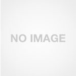 JULIA Doll/身長158cm/バストFカップ/素材シリコンヘッド＋TPEボディ